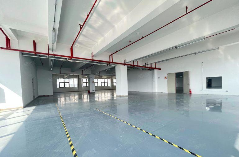 10元！大亚湾西区新出单层3000平厂房仓库出租 空地超大