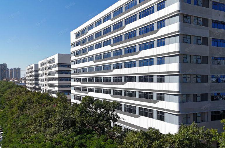 大亚湾全新国企新建高薪厂房，实际面积含税出租，每年免租两个月