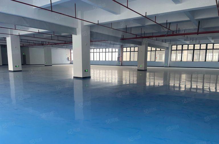 大亚湾临深楼上2000平厂房带5吨货梯低价出租 园区配套齐全