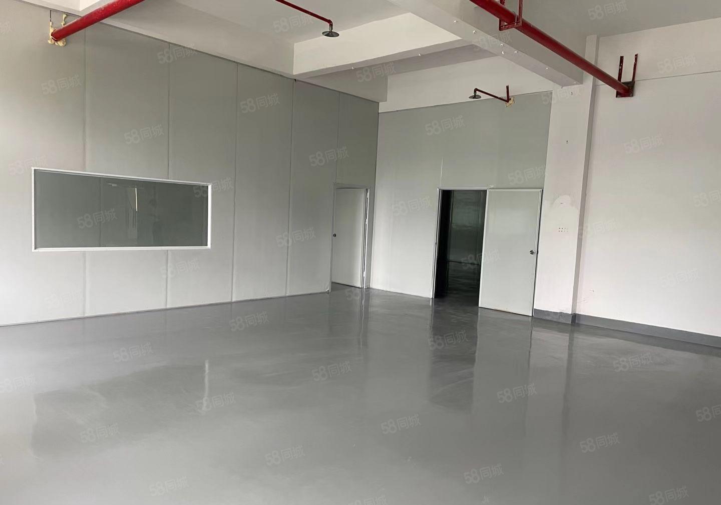 大亚湾全新厂房大小可分租