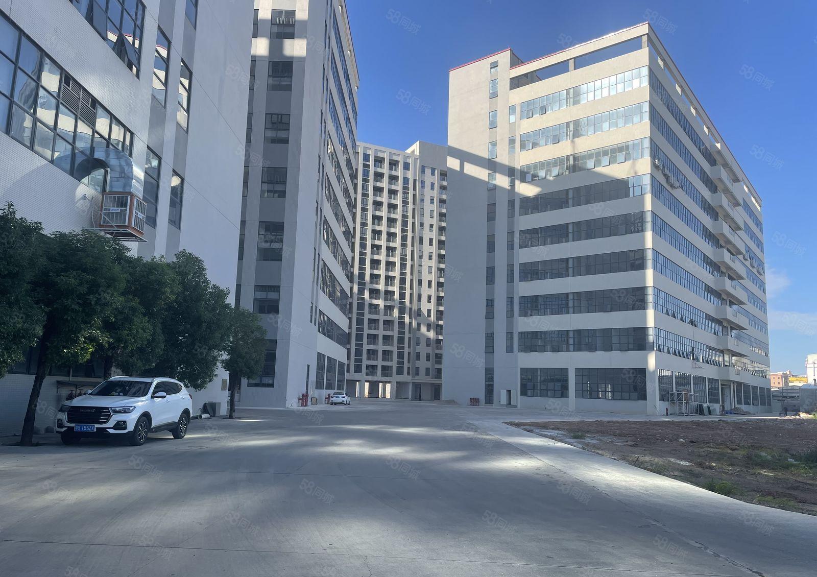 临深!响水河工业区12万方全新红本工业园厂房出租可分租大空地