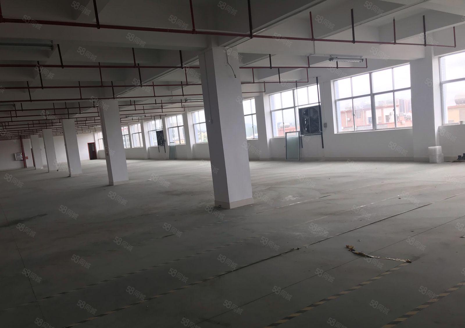 惠阳大亚湾一二楼标准厂房800平1000平出租