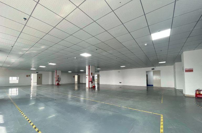 10元！大亚湾西区新出单层3000平厂房仓库出租 空地超大