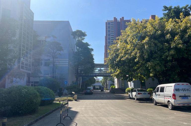 9元起租！大亚湾新出2000平米厂房仓库低价出租可分租空地大