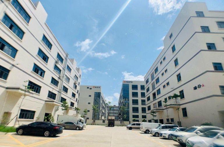 整层3000平，10元一平，带精装修，无转让费，原房东厂房