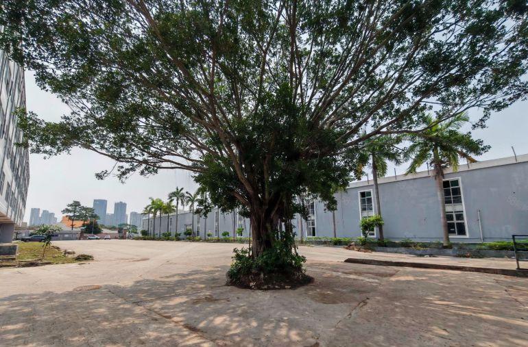 大亚湾独院钢构厂房9米高超大空地可做物流，仓库大型设备生产