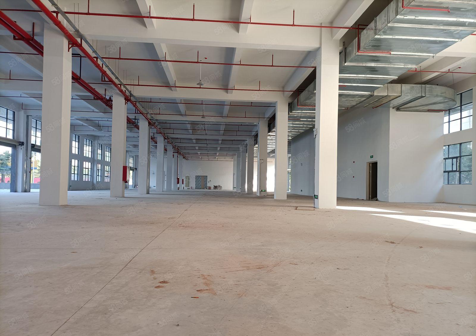 临深3公里有一手房东放租一楼厂房3000平可分割滴水7米