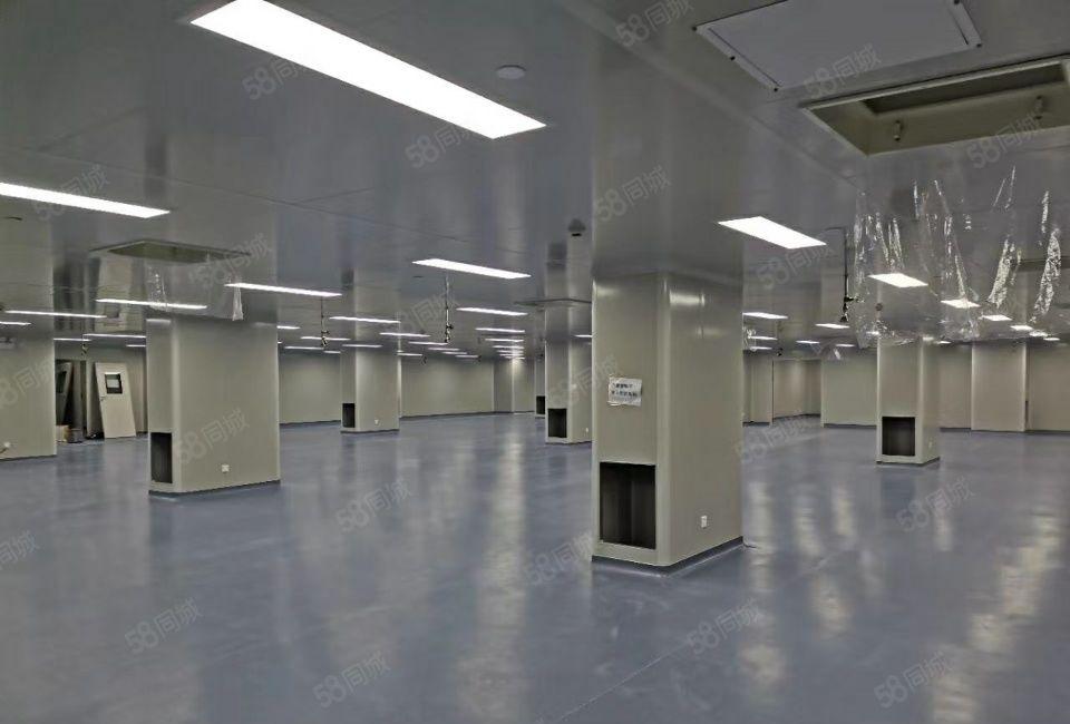 惠州市大亚湾开发区新空出标准厂房10400平米无尘车间招租