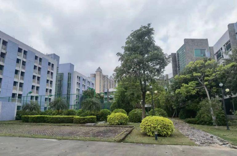 大亚湾临深繁华工业区招租500平起分