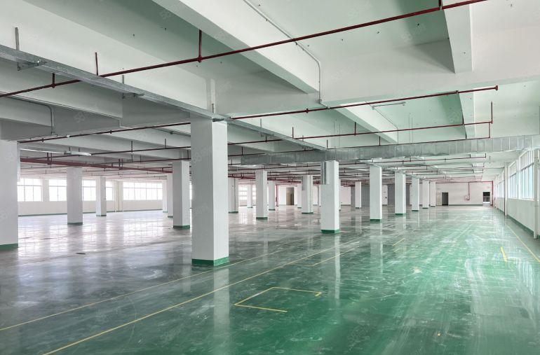 10元起大亚湾新出原房东实际面积带装修厂房仓库低价出租可分租