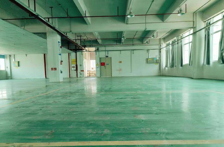 西区龙山二路原房东新出1300平5楼现成办公室地坪漆宿舍楼