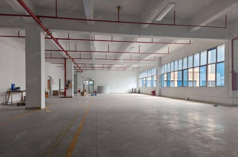 2100平方！开发商小独栋只有一席先到先得！原房东红本厂房