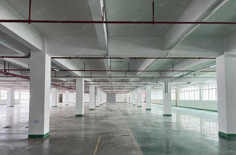 10元起大亚湾新出原房东实际面积带装修厂房仓库低价出租可分租