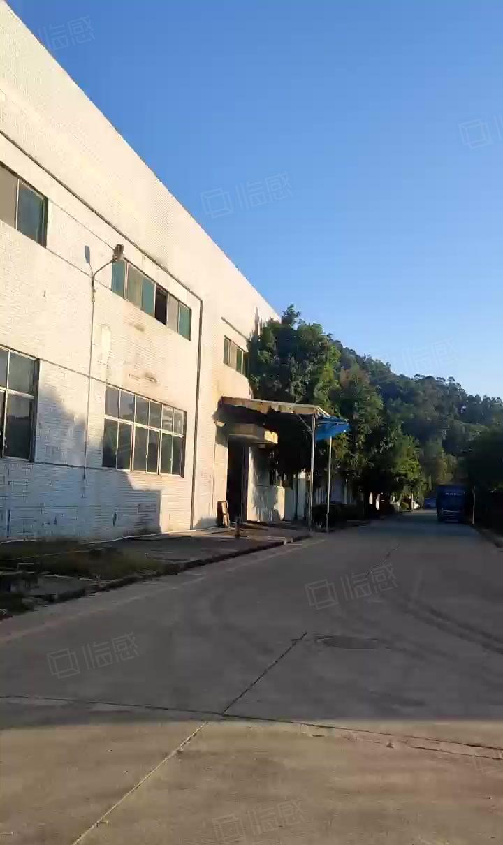 年底促销出租，按实际面积出租，可进出大车，证件齐全。