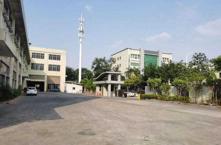 7米！大亚湾西区3000平单一层独院厂房仓库低价出租可分租