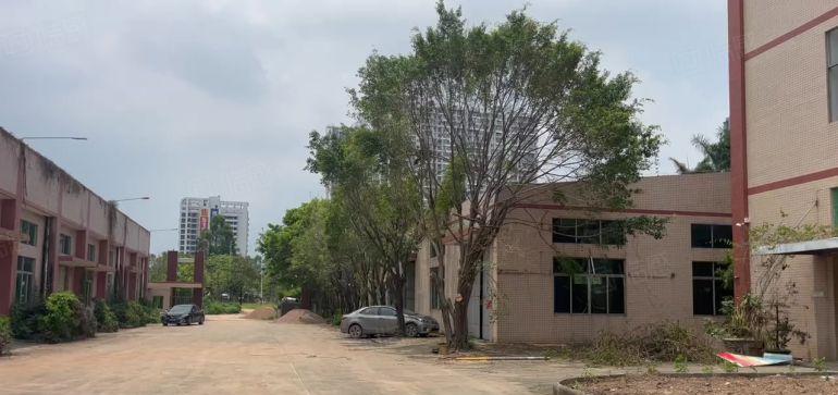 大亚湾临深厂房，特价出租11元，不限制行业，有红本