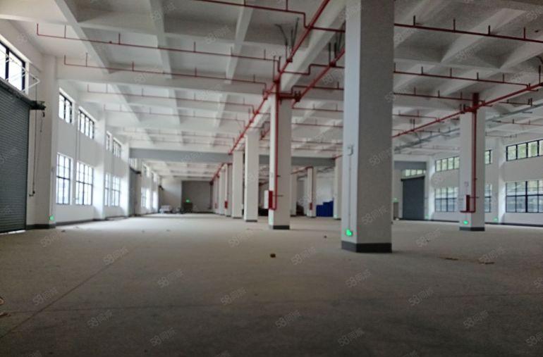 惠州市大亚湾16200平米原房东全新红本独院厂房实际面积出租