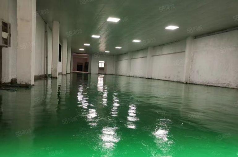 大亚湾临深繁华工业区招租500平起分