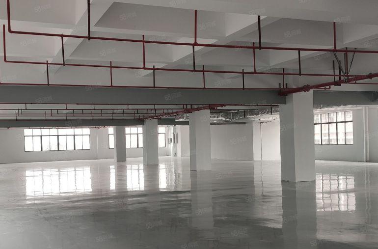 10块，大亚湾全新2000平标准厂房仓库出租，带地坪漆可分租