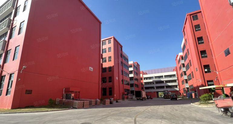 临深大亚湾西区新出一楼3000平带牛角厂房出租高度7米可分租