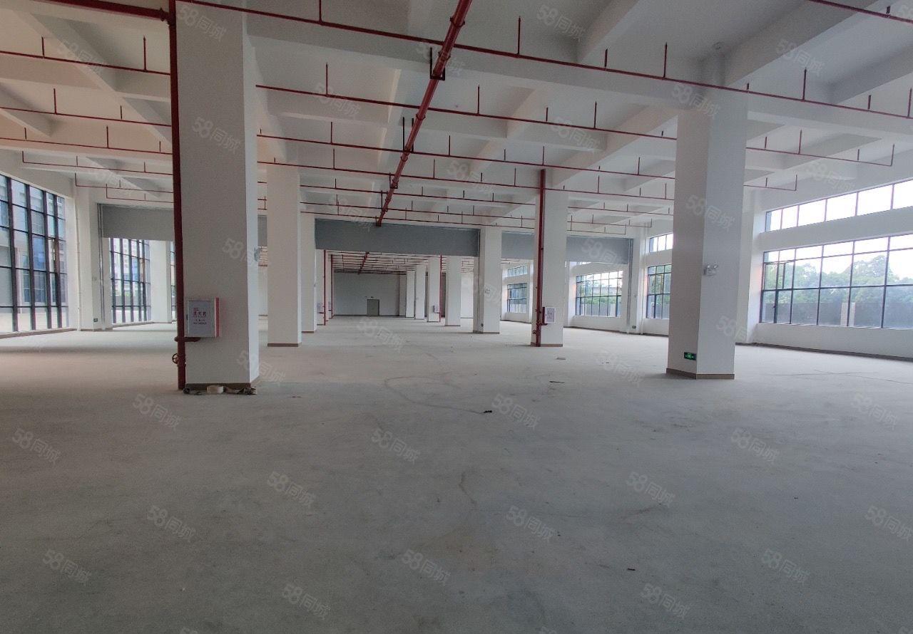 500平起分超大空地免费用大亚湾红本标准厂房30000平