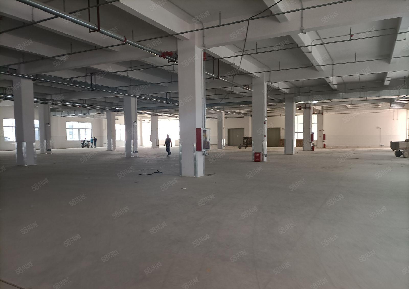 5000平厂房招租一楼临龙光城一公里