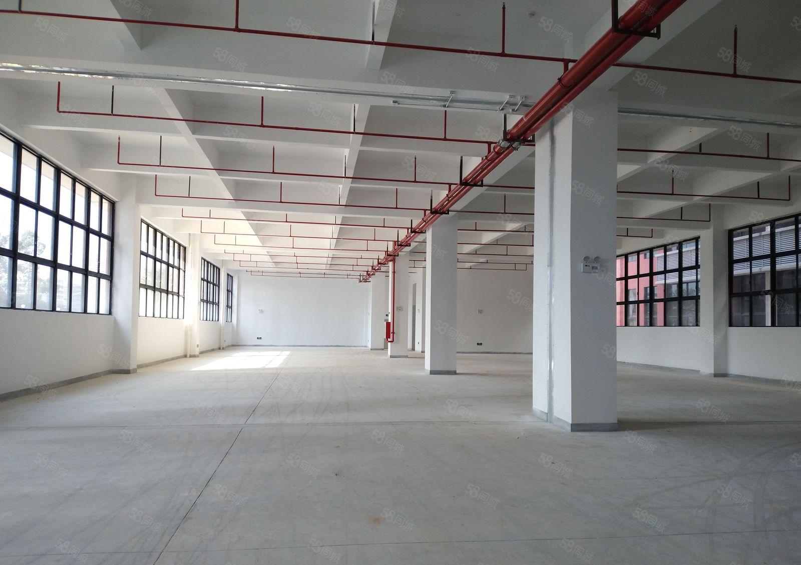 大亚湾龙山五路全新5万平厂房出租