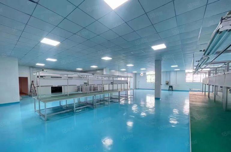 大亚湾中心区原房东标准厂房全新厂房精装修二楼底价出租现成水电