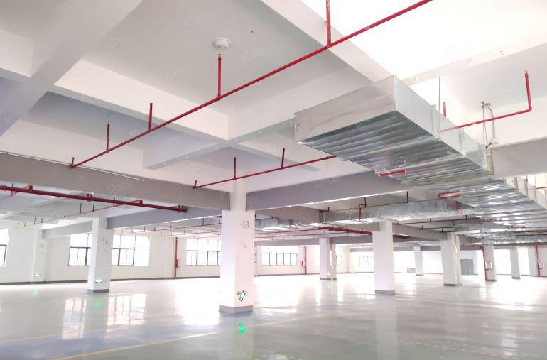 出租|大亚湾西区新出一楼600平精装修办公室仓库厂房低价出租