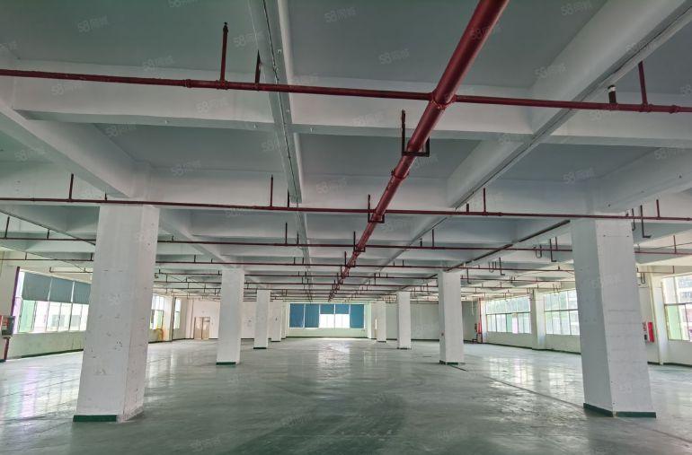 200平米起租！大亚湾西区大工业园区厂房200平至2000平