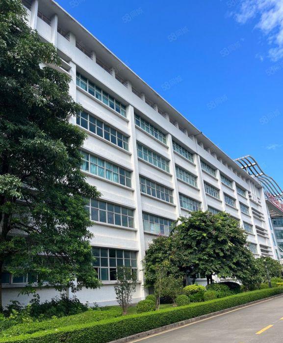 大亚湾临深工业园标准厂房出租，一楼带消防喷淋，空地大好停车