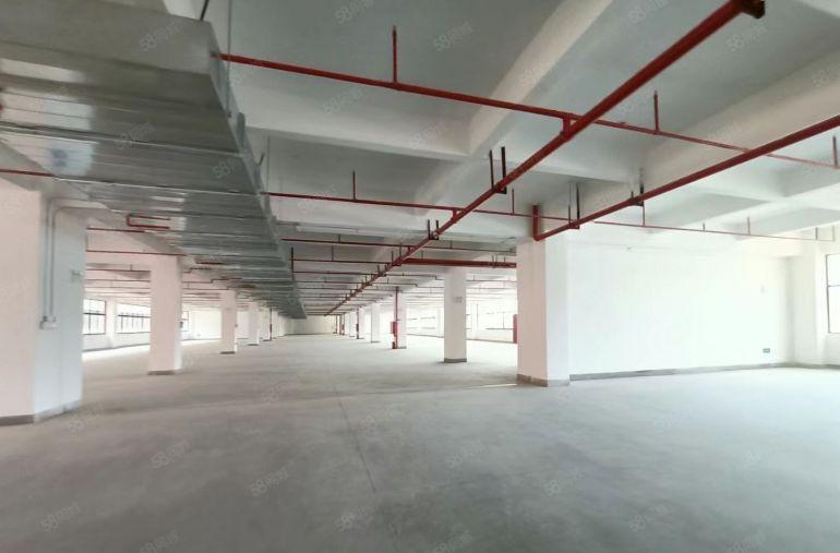 大亚湾临深豪华红本的厂房只需8.5元可办环评.