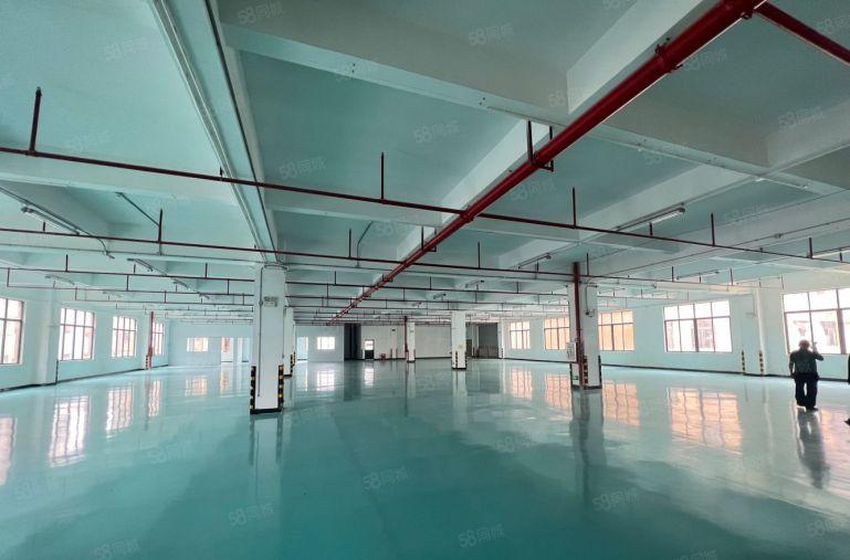 大亚湾新出楼上3000平米地坪漆厂房仓库低价出租大小可分租