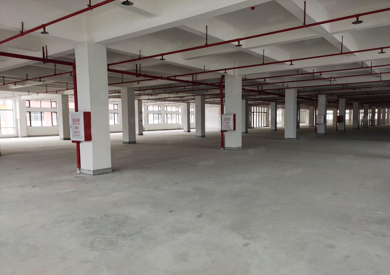 大亚湾区全新工业园标准厂房五万平米出租