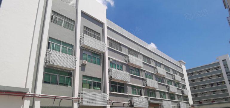 人流大易招工！1000平至3000平大亚湾西区大工业园区厂房