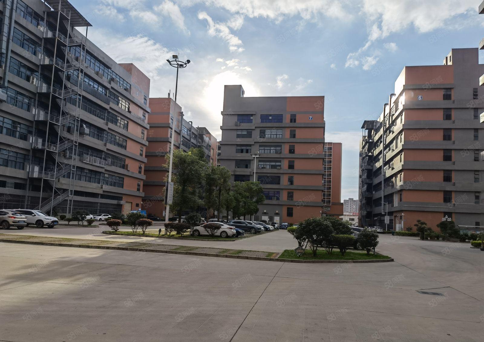 大亚湾西区工业园红本厂房新出1200平方带装修两部三吨电梯