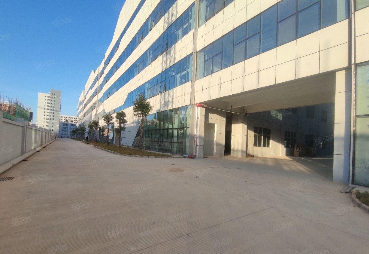 (带装修)大亚湾科技园工业园厂房1000平可分租形象好