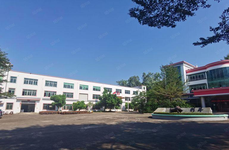 6元大亚湾西区原房东低价厂房仓库2500平出租，300平起分