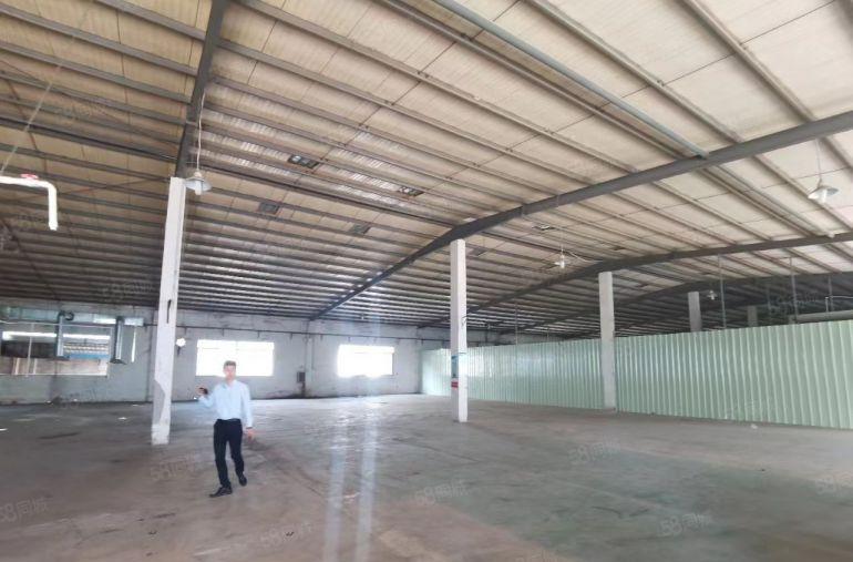 临深大亚湾钢结构，业主急租一个月9000