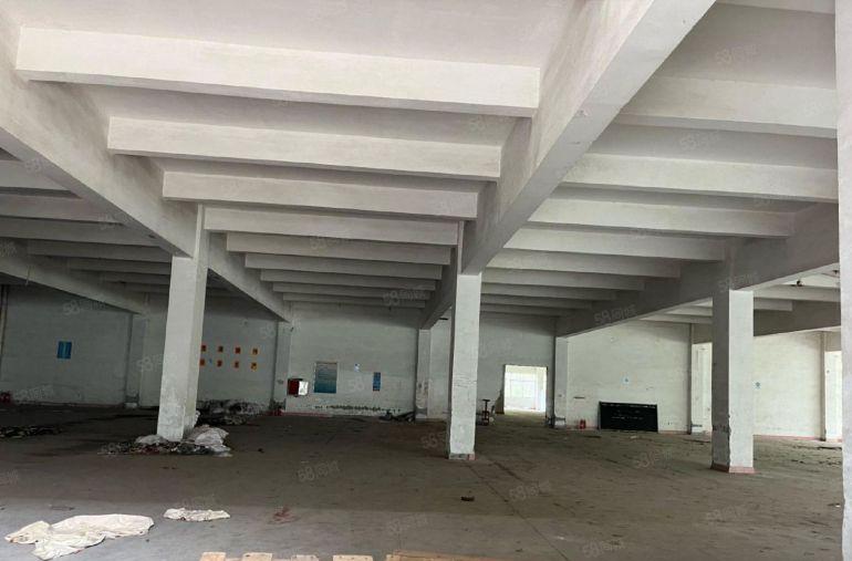 大亚湾红本园区，高速路口旁空地大，钢构标准搭配 齐全低价