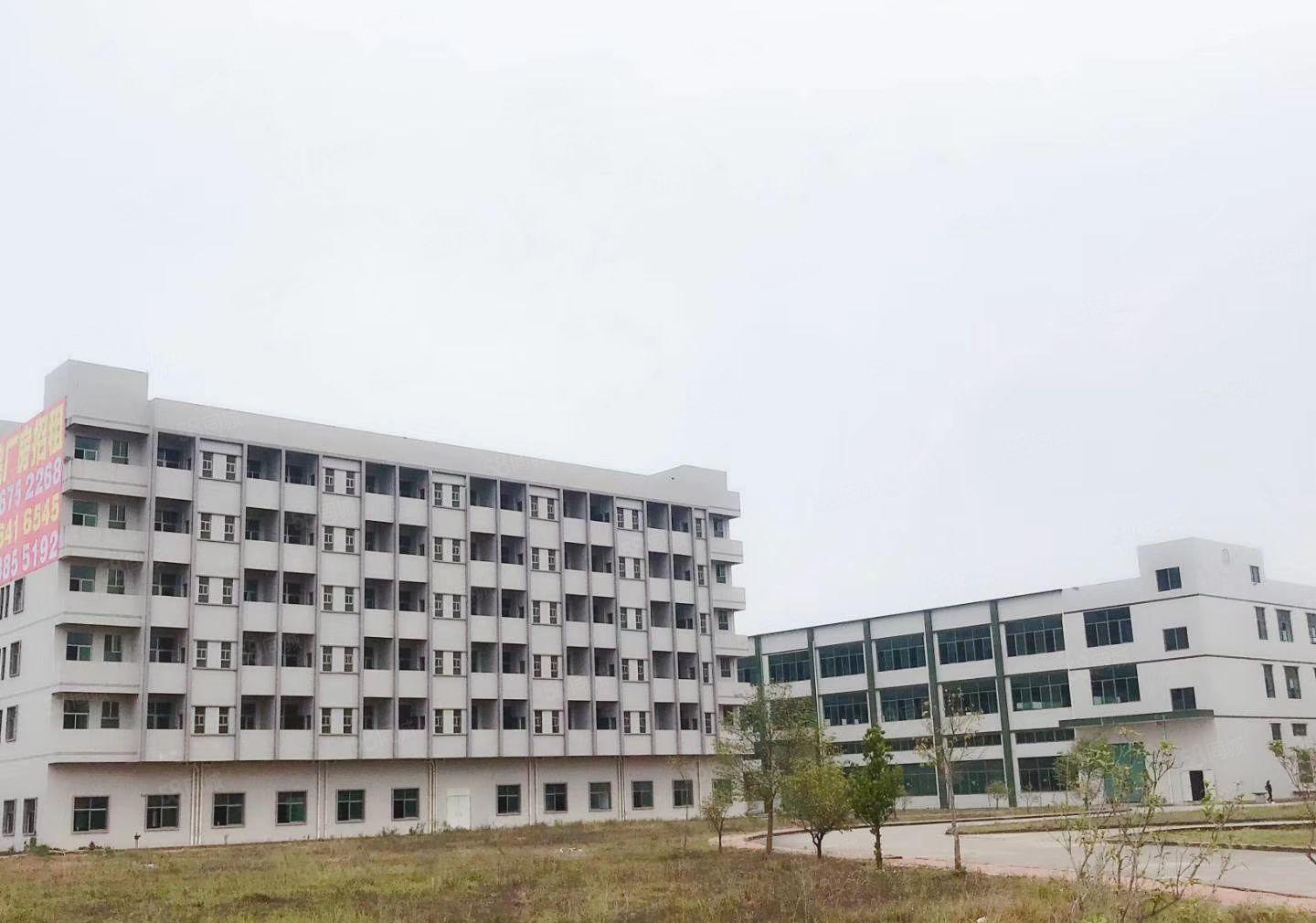 4万平米工业园火热招租（可整租分租）