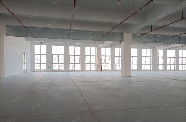 原房东新厂房3000平单层出租位于大路边园区新颖时尚