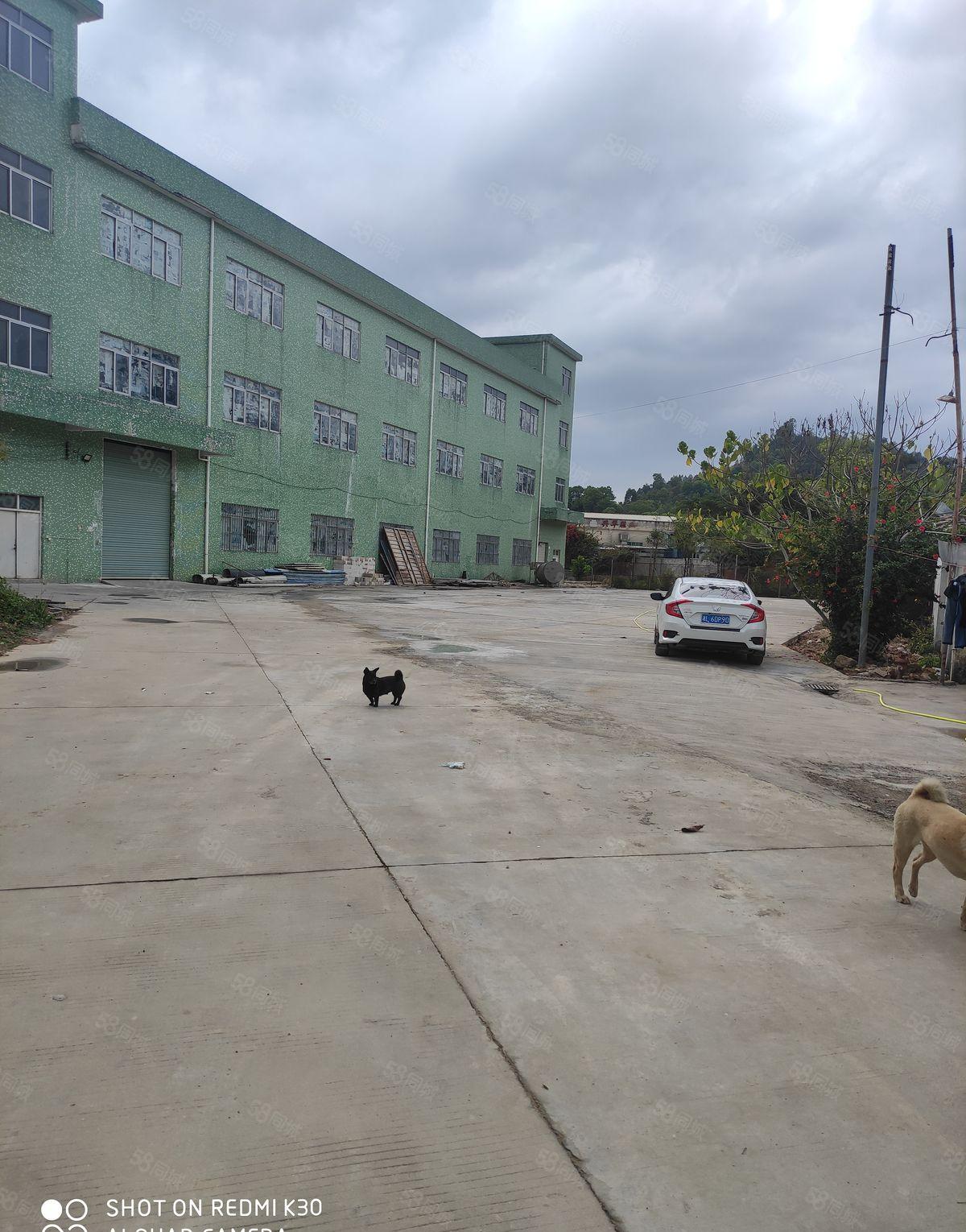 原房东按实际面积出租，证件齐全，独门独院。