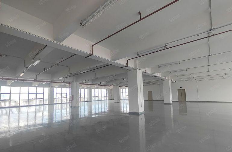 8块临深大亚湾楼上2700平厂房带精装修办公室出租，可分租