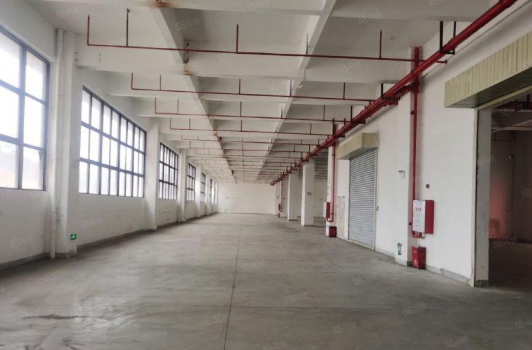 大亚湾临深独门独院，5000平可分租，空地大，低价出租