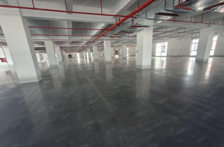 大亚湾带装修200平到800平电商办公全新红本厂房仓库出租