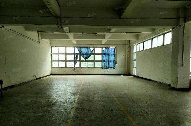 临深工业园尾盘招租 大小可分 价格便宜 大亚湾西区花园式厂房