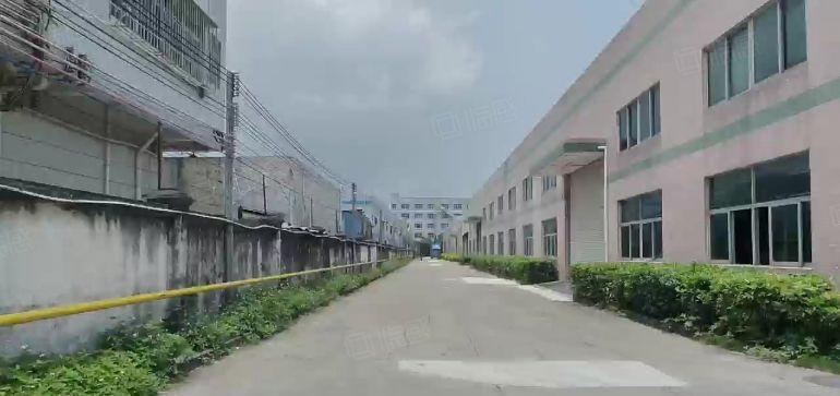 大亚湾临坪山5000千平方单一层红本厂房仓库出租 可分租