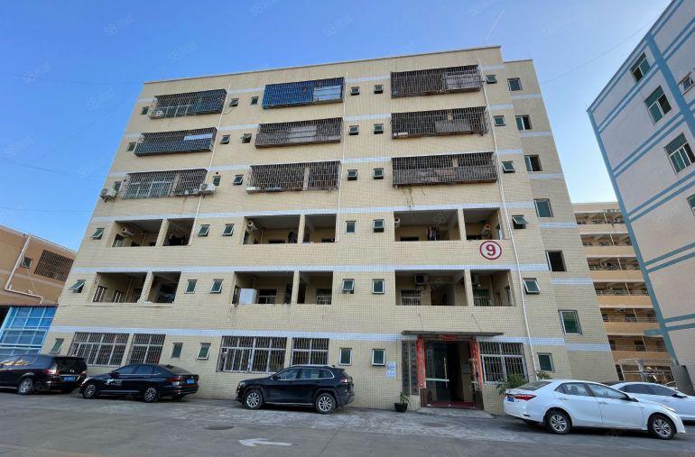 大亚湾临深标准厂房，现成装修，原房东。