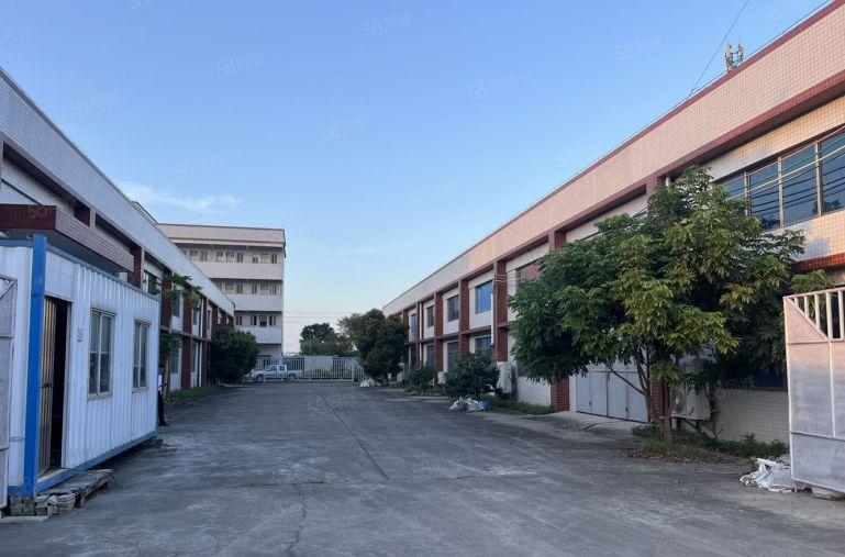 园洲新出一楼3000平钢构厂房出租滴水8米空地很大主干道边上